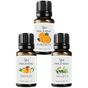 Vivaldi Home 3x10 ml Portakal Mango Okaliptus Uçucu Yağ Buhurdanlık Yağı