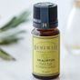 Vivense 10 ml Okaliptus Uçucu Yağı