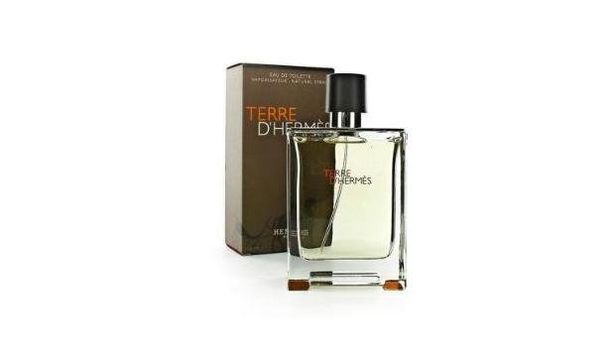 Hermes Terre D'Hermes EDT 100 ml Erkek Parfümü