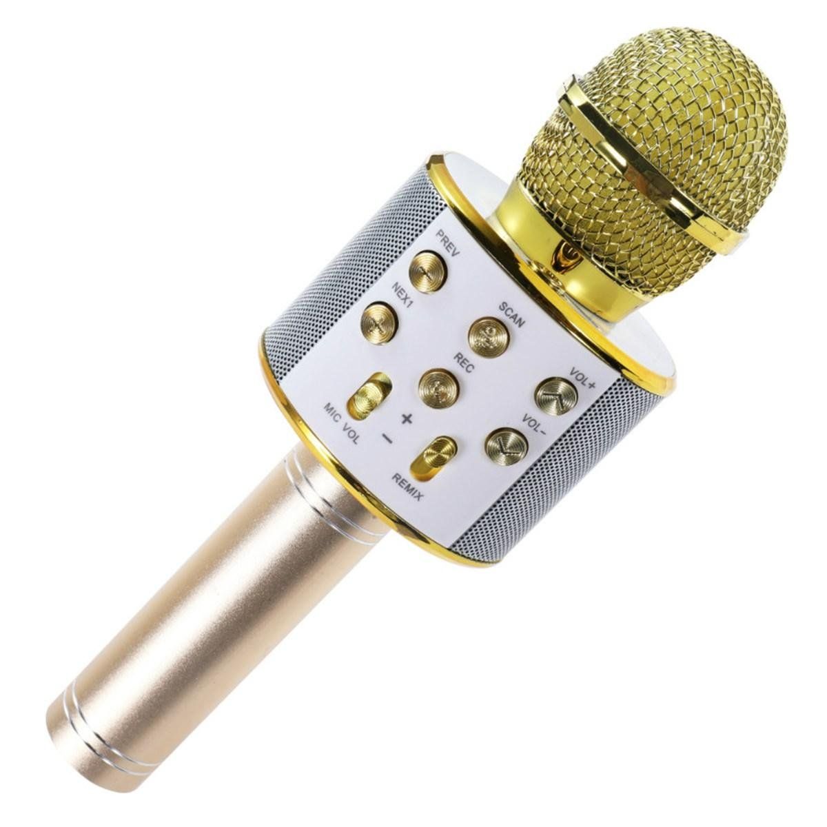 Asonic AS-M09 Karaoke Mikrofon Fiyatları