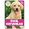 Evcil Hayvanlar Kitapları