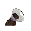 Köpek Yakalık (Elizabeth Maskesi)