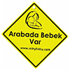 Arabada Bebek Var