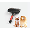 Köpek Masaj Aletleri