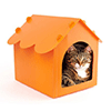 Kedi Evi