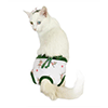 Kedi Külodu