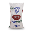 Besi Yemi