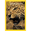 National Geographic Belgeseli