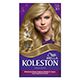 Koleston Saç Boyaları