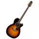 Takamine Akustik Gitarlar