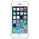 Apple 5s