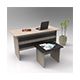 250 TL - 500 TL Ofis Çalışma Masası