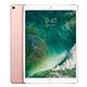 iPad Pro