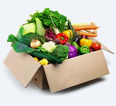 Sebze Çeşitleri 🥦🥕